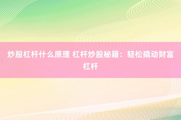炒股杠杆什么原理 杠杆炒股秘籍：轻松撬动财富杠杆