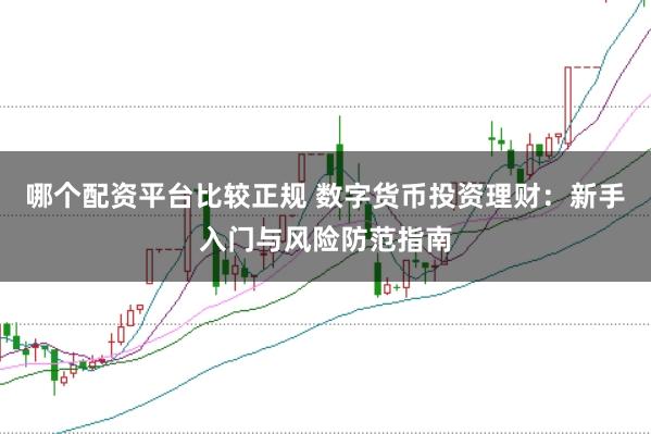 哪个配资平台比较正规 数字货币投资理财：新手入门与风险防范指南