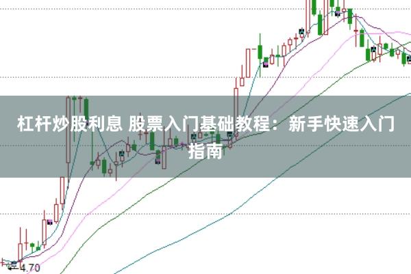 杠杆炒股利息 股票入门基础教程：新手快速入门指南