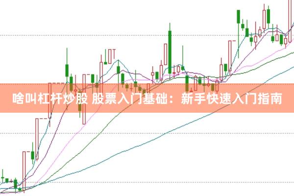 啥叫杠杆炒股 股票入门基础：新手快速入门指南