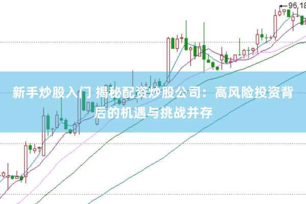 新手炒股入门 揭秘配资炒股公司：高风险投资背后的机遇与挑战并存