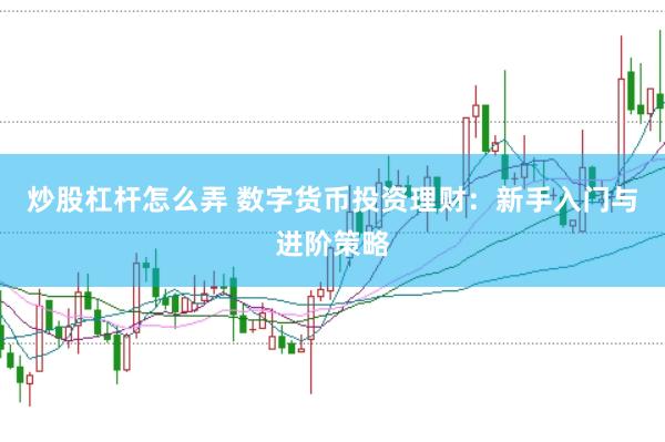 炒股杠杆怎么弄 数字货币投资理财：新手入门与进阶策略