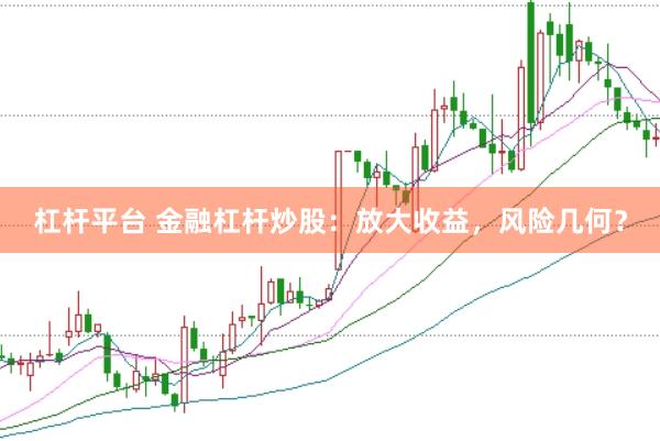 杠杆平台 金融杠杆炒股：放大收益，风险几何？