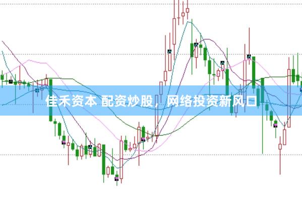 佳禾资本 配资炒股，网络投资新风口