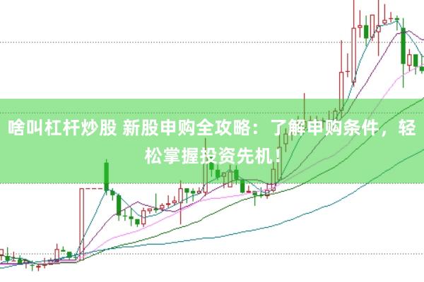 啥叫杠杆炒股 新股申购全攻略：了解申购条件，轻松掌握投资先机！
