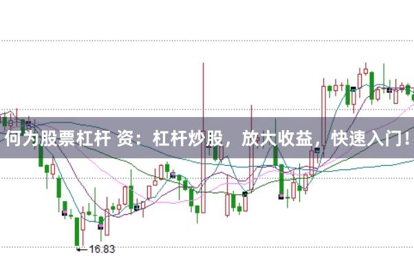 何为股票杠杆 资：杠杆炒股，放大收益，快速入门！