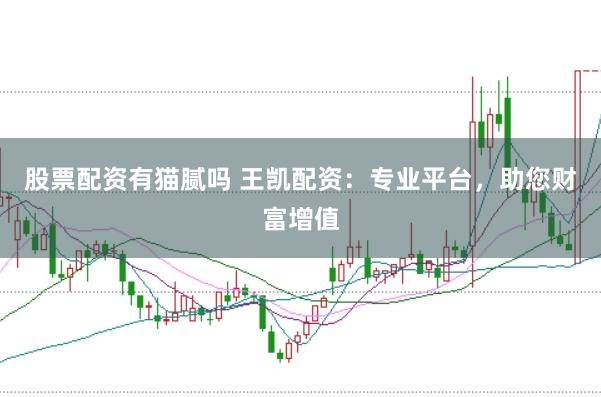 股票配资有猫腻吗 王凯配资：专业平台，助您财富增值