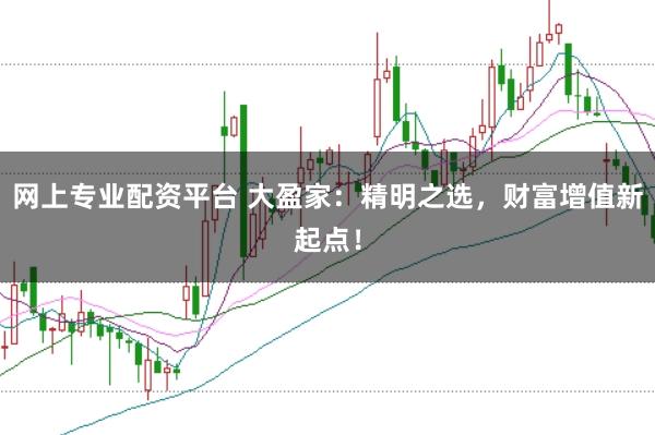 网上专业配资平台 大盈家：精明之选，财富增值新起点！