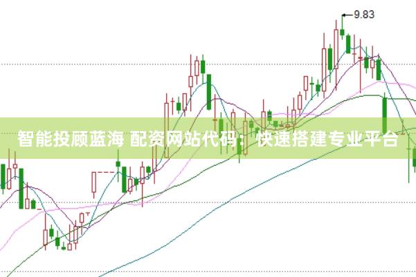 智能投顾蓝海 配资网站代码：快速搭建专业平台