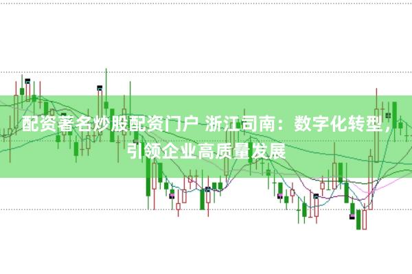 配资著名炒股配资门户 浙江司南：数字化转型，引领企业高质量发展