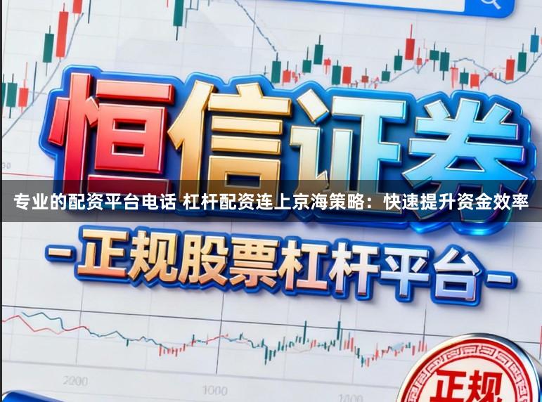 专业的配资平台电话 杠杆配资连上京海策略:快速提升资金效率